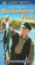 Huckleberry Finn movie in Rance Howard filmography.