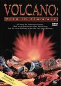 Volcano: Fire on the Mountain movie in John Novak filmography.