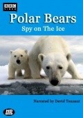 Polar Bears: Spy on the Ice movie in David Tennant filmography.