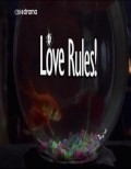 Love Rules! is the best movie in Christopher Bondy filmography.