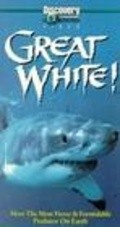 Great White is the best movie in Stephanie Allen filmography.