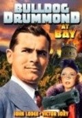 Bulldog Drummond at Bay is the best movie in Leslie Perrins filmography.