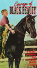 Courage of Black Beauty movie in Johnny Crawford filmography.