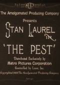 The Pest movie in Jess Robbins filmography.