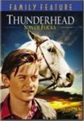Thunderhead - Son of Flicka movie in James Bell filmography.