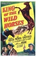 King of the Wild Horses movie in John Kellogg filmography.