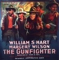 The Gun Fighter is the best movie in George Stone filmography.