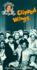 Clipped Wings movie in Bernard Gorcey filmography.