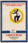A Raisin in the Sun movie in Daniel Petrie filmography.