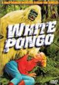 White Pongo movie in Sam Newfield filmography.