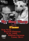 My Dog Shep movie in Flame filmography.