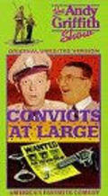 Convicts at Large movie in Florence Lake filmography.
