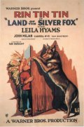 Land of the Silver Fox movie in Rin Tin Tin filmography.