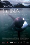Saving Luna movie in Syuzann Chisholm filmography.