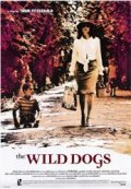 The Wild Dogs movie in Alberta Watson filmography.