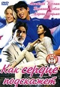 Dil Jo Bhi Kahey... movie in Amitabh Bachchan filmography.