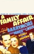 A Family Affair movie in Lionel Barrymore filmography.