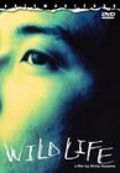 Wild Life movie in Shinji Aoyama filmography.