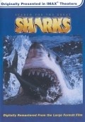 Search for the Great Sharks is the best movie in Rodney Fox filmography.