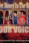 Sweet Honey in the Rock: Raise Your Voice movie in Stanley Nelson filmography.
