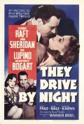 They Drive by Night movie in Raoul Walsh filmography.