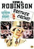 Brother Orchid movie in Morgan Conway filmography.