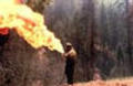 Wildfire: Feel the Heat movie in Andre Braugher filmography.