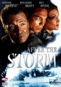 After the Storm movie in Guy Ferland filmography.