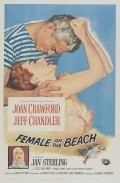 Female on the Beach movie in Joseph Pevney filmography.