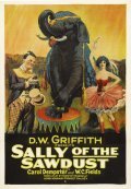 Sally of the Sawdust movie in D.W. Griffith filmography.