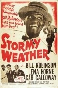 Stormy Weather movie in Andrew L. Stone filmography.
