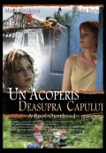 Un acoperis deasupra capului is the best movie in Marius Chivu filmography.