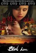 Blind Love movie in Janghun Troy Choi filmography.