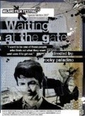 Waiting at the Gate movie in Roki Palladino filmography.