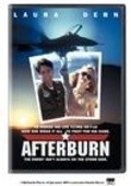 Afterburn movie in Richard Jenkins filmography.