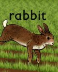Rabbit movie in Run Wrake filmography.
