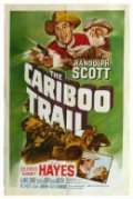 The Cariboo Trail is the best movie in Bill Williams filmography.