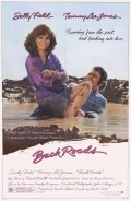 Back Roads is the best movie in Barbara Babcock filmography.