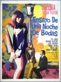 Ensayo de una noche de bodas is the best movie in Lucia Guilmain filmography.