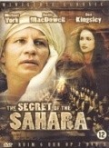 Il segreto del Sahara movie in David Soul filmography.