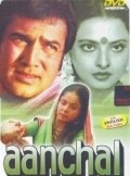 Aanchal movie in Rakhee Gulzar filmography.