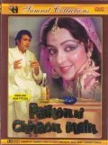 Palkon Ki Chhaon Mein movie in Hema Malini filmography.