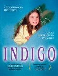Indigo movie in Stephen Deutsch filmography.