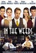 In the Weeds movie in Joshua Leonard filmography.