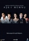 Ask-i memnu is the best movie in Nur Aysan filmography.