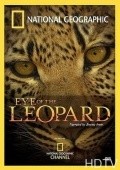 Eye of the Leopard movie in Beverly Joubert filmography.