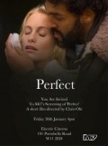 Perfect is the best movie in Rosa Curtain filmography.