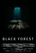 Black Forest movie in Gert Steinheimer filmography.