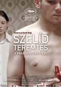 Szelid teremtes - A Frankenstein-terv movie in Kornél Mundruczó filmography.