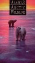 Alaska's Arctic Wildlife movie in Bo Boudart filmography.